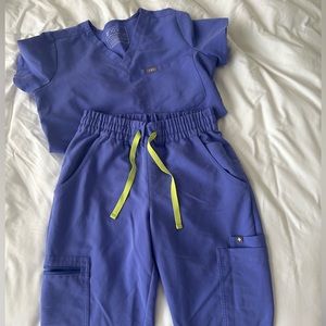 FIGS blueberry scrub set